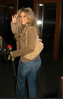 Shakira tote bag