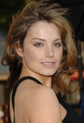 Erica Durance canvas poster