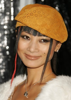 Bai Ling poster with hanger