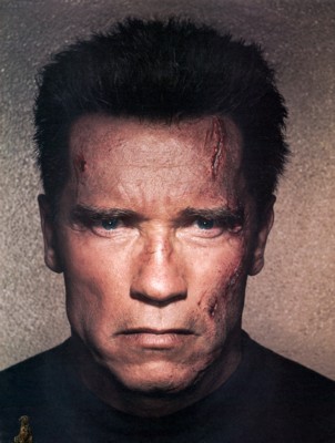 Arnold Schwarzenegger pillow