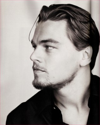 Leonardo DiCaprio pillow
