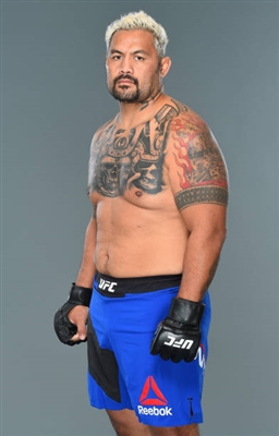 Mark Hunt poster