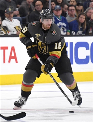 James Neal puzzle G1807597