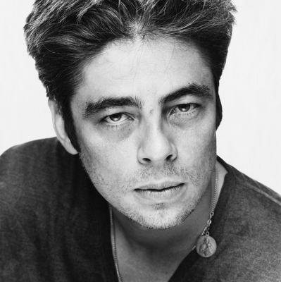Benicio Del Toro puzzle G2491090