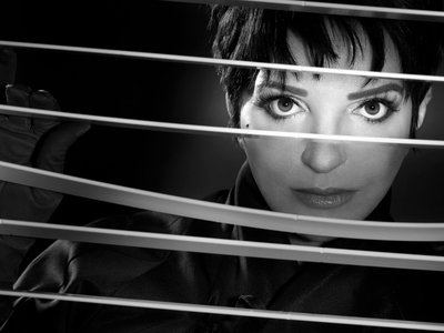 Liza Minnelli poster with hanger