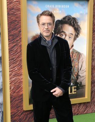 Robert Downey Jr wooden framed poster
