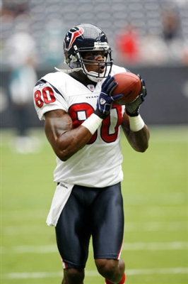 Andre Johnson Stickers G2642636