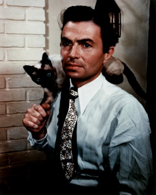 James Mason poster with hanger