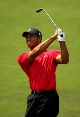 Tiger Woods puzzle G316408