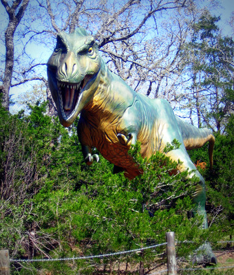 Dinosaur metal framed poster