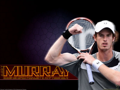 Andy Murray puzzle G333385