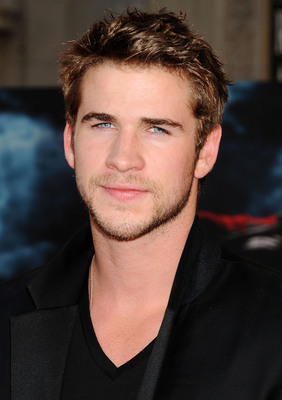 Liam Hemsworth poster with hanger