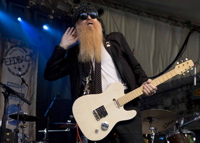 Billy Gibbons pillow