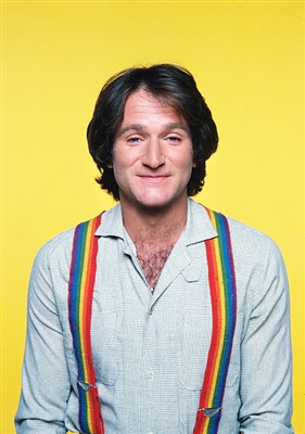 Robin Williams pillow