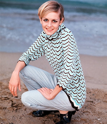 Twiggy canvas poster