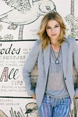 Emily VanCamp poster with hanger