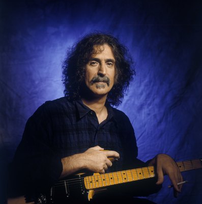 Frank Zappa pillow