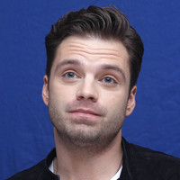 Sebastian Stan hoodie #923318