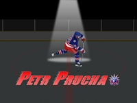 Petr Prucha hoodie #993632