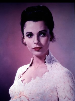 Claire Bloom Stickers G819395