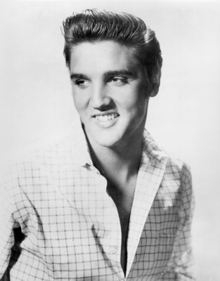Elvis Presley puzzle G831930