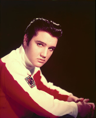 Elvis Presley Poster G832464