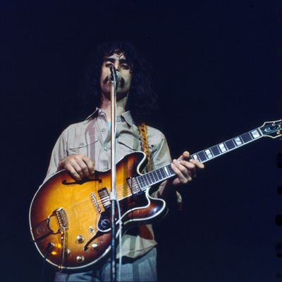 Frank Zappa Stickers G905989