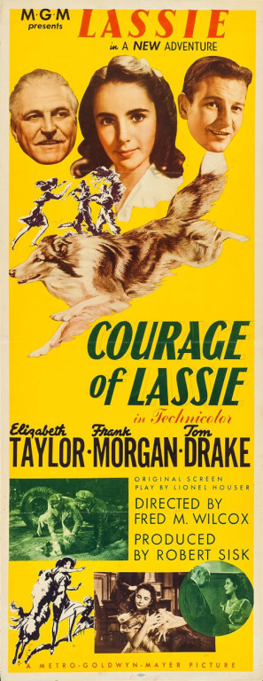 Courage of Lassie movie poster (1946) wooden framed poster
