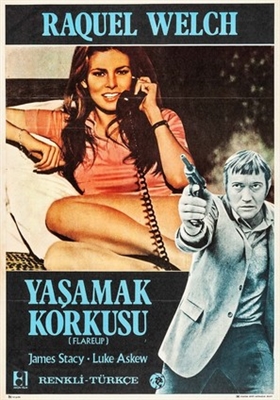 Flareup movie posters (1969) wood print