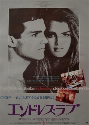 Endless Love movie posters (1981) mug