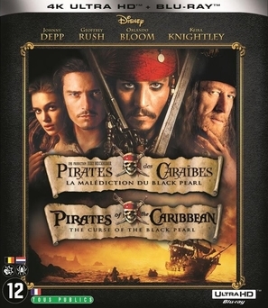 Pirates of the Caribbean: The Curse of the Black Pearl movie posters (2003) wooden framed poster