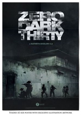 Zero Dark Thirty movie posters (2012) magic mug #MOV_1891718