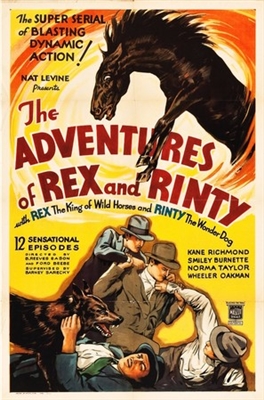 The Adventures of Rex and Rinty movie posters (1935) pillow