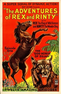 The Adventures of Rex and Rinty movie posters (1935) pillow