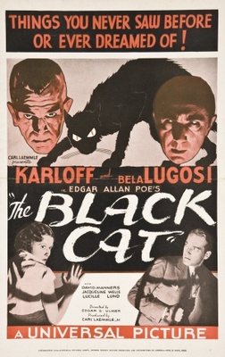 The Black Cat movie poster (1941) mug
