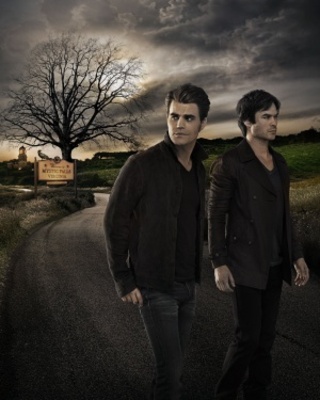The Vampire Diaries movie poster (2009) poster