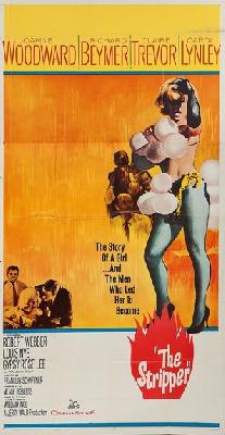 The Stripper movie posters (1963) poster