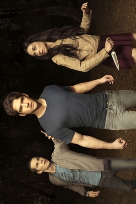 Teen Wolf movie poster (2011) canvas poster