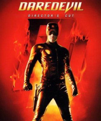 Daredevil movie poster (2003) wooden framed poster