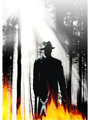 The Burning movie poster (1981) wood print