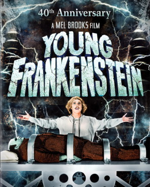 Young Frankenstein movie poster (1974) wooden framed poster