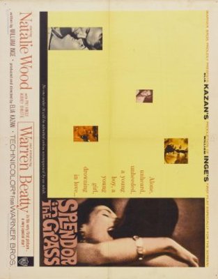 Splendor in the Grass movie poster (1961) wood print