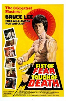 Fist of Fear, Touch of Death movie poster (1980) mug