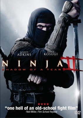 Ninja: Shadow of a Tear movie poster (2013) canvas poster