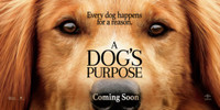 A Dogs Purpose movie poster (2017) hoodie #1468258