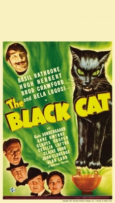 The Black Cat movie poster (1941) wooden framed poster
