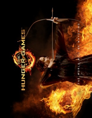 The Hunger Games movie poster (2012) wooden framed poster