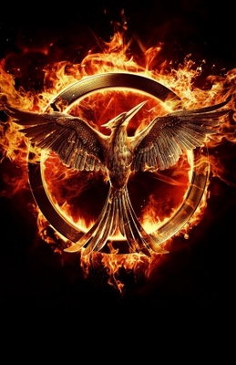 The Hunger Games: Mockingjay - Part 1 movie poster (2014) poster with hanger