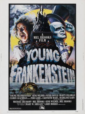 Young Frankenstein movie poster (1974) metal framed poster