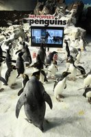 Mr. Popper's Penguins movie poster (2011) t-shirt #701942